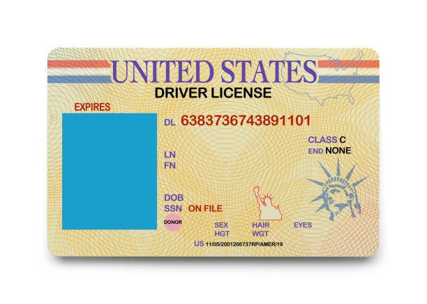 Drivers License1