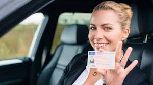 Spanish driving licence