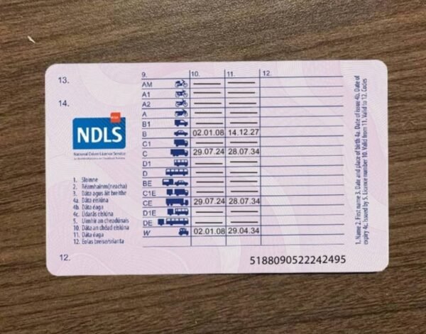 Irish Driving License - Image 2